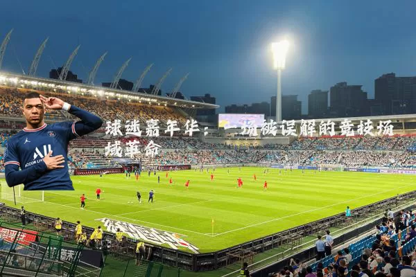 球迷嘉年华：一场被误解的竞技场域革命